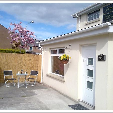 Amore Bed & Breakfast Derry Extérieur photo